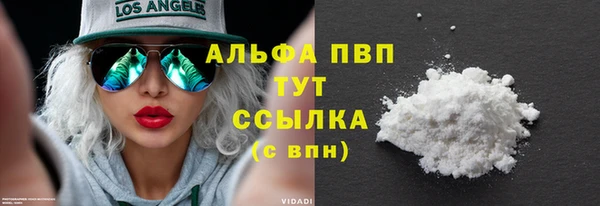 стаф Алексин