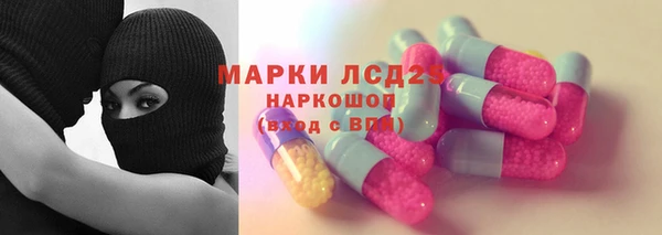 стаф Алексин