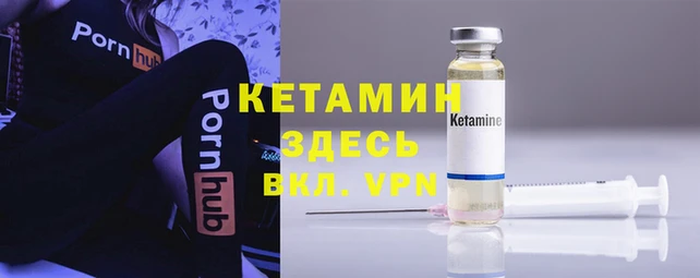 стаф Алексин
