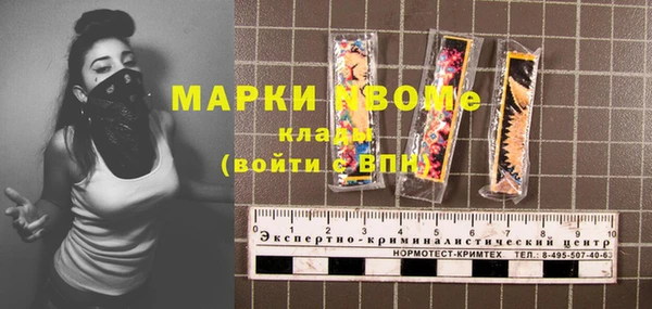 стаф Алексин