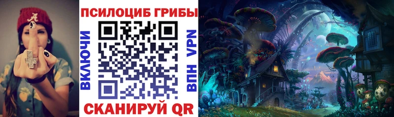 ОМГ ОМГ как войти  Луза  Псилоцибиновые грибы Cubensis 